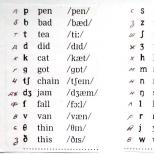 Тікелей қарым-қатынасқа арналған негізгі ағылшын сөздерінің тізімі Үйренуге арналған ағылшын сөздерінің жинағы