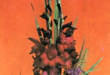 Photo of Искусство создания букетов